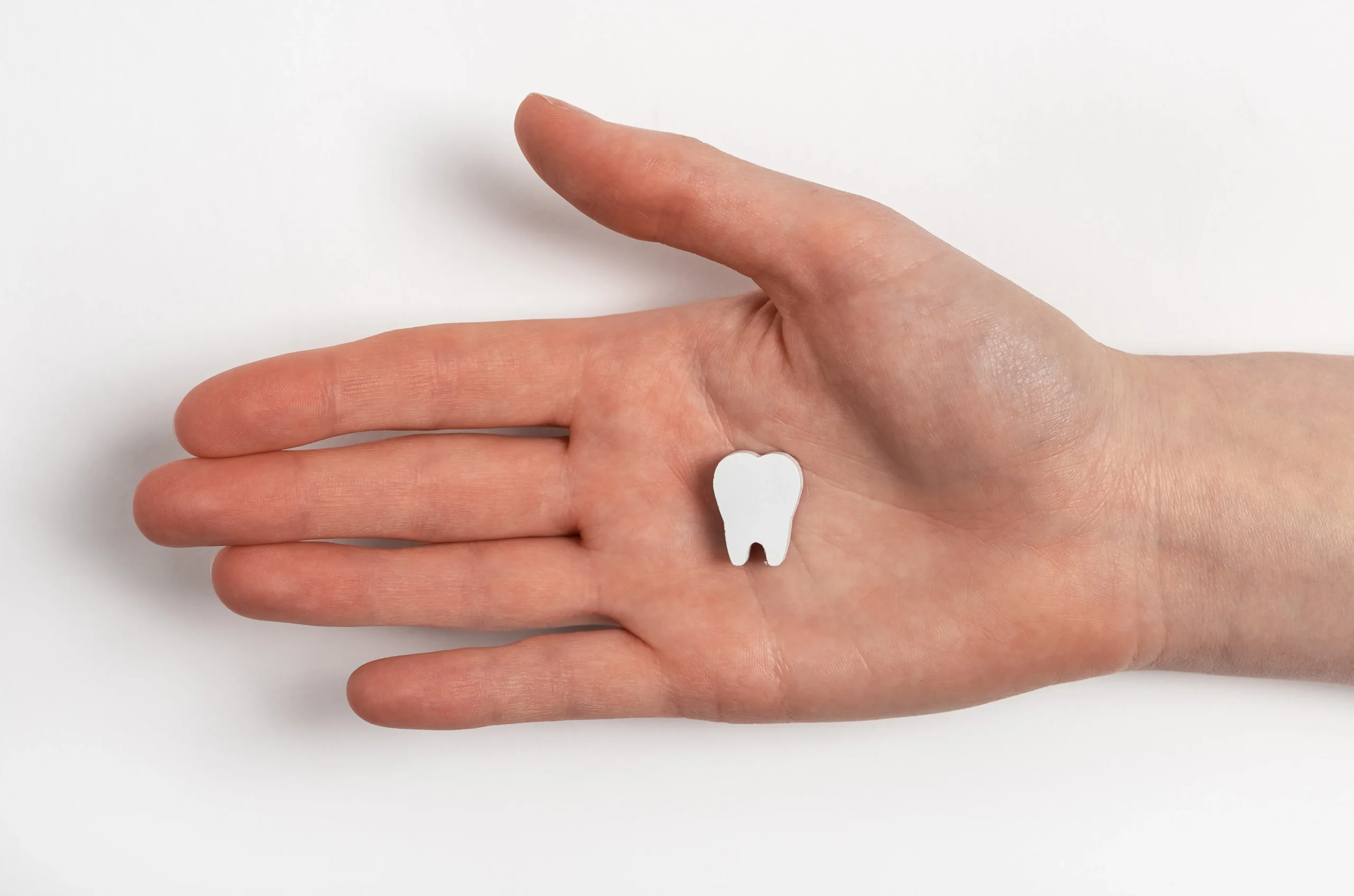 A persons hand holding a tooth